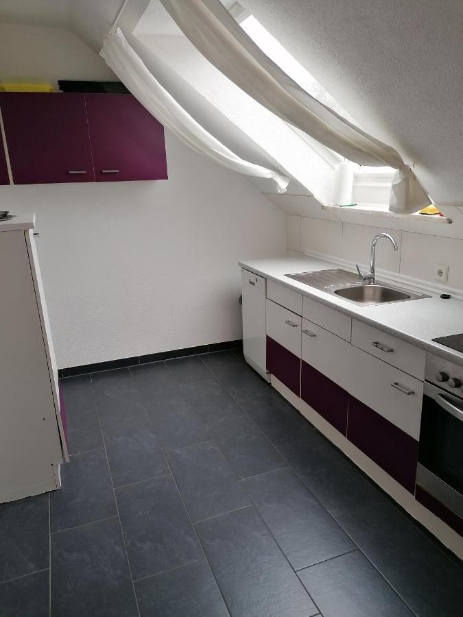 Ferienwohnung Mannes Lauingen Ngoại thất bức ảnh